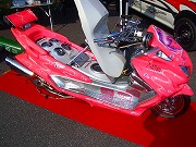 ACG2005 in  FINAL