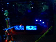 ACG2005 in  FINAL